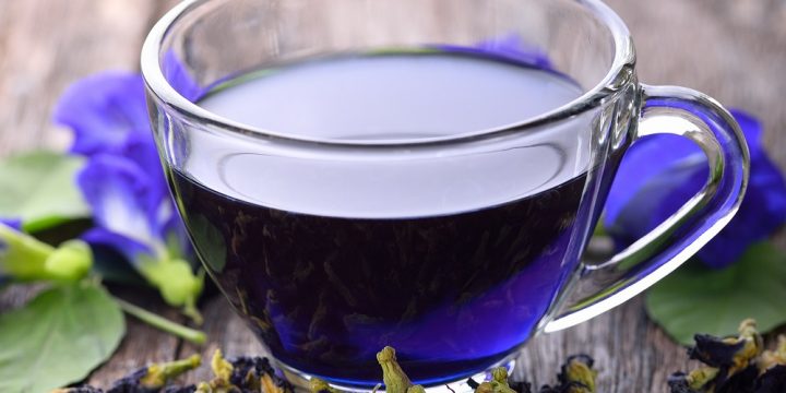 There’s more to butterfly pea flowers than its shade